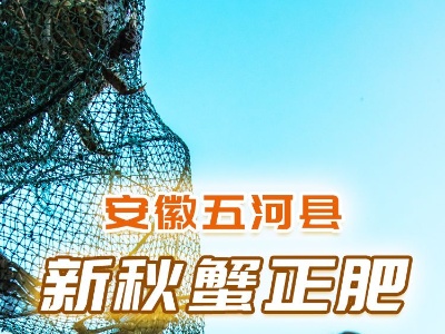 中国农民丰收节｜神农氏时空旅行图鉴