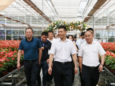 谢来发到彭泽县调研指导2021年“中国农民丰收节”江西活动筹备工作