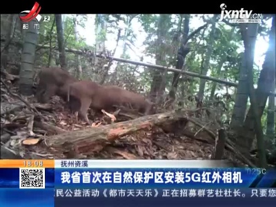 江西省首次在自然保护区安装5G红外相机