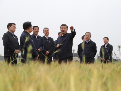 第一观察丨察夏粮、看秋粮，总书记今年考察中为何两次实地察看粮食长势