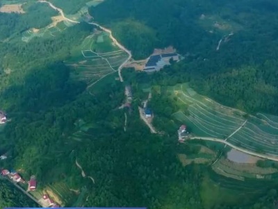 关注农产品保供 | 各地落实鲜活农产品运输“绿色通道”政策 多举措提升产销衔接效率