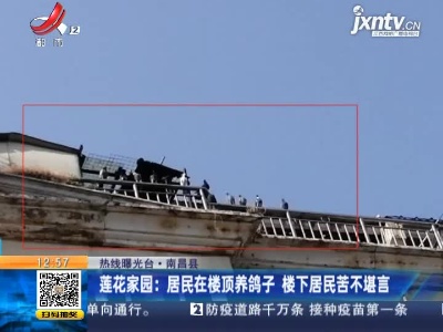 【热线曝光台】南昌县·莲花家园：居民在楼顶养鸽子 楼下居民苦不堪言