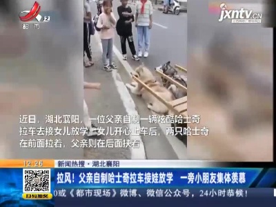 辽宁大连：女子被困礁石消防搭梯子解救