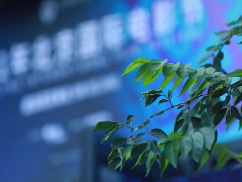 探秘北影节VR单元丨沉浸式体验开启“空间之间