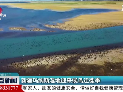 新疆玛纳斯湿地迎来候鸟迁徙季