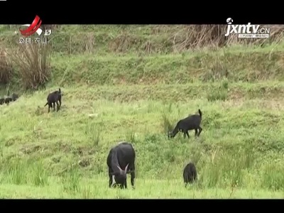 稻花香里20210929 小康路上追梦人——一群特别的“孩子”