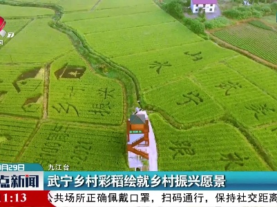 武宁乡村彩稻绘就乡村振兴愿景