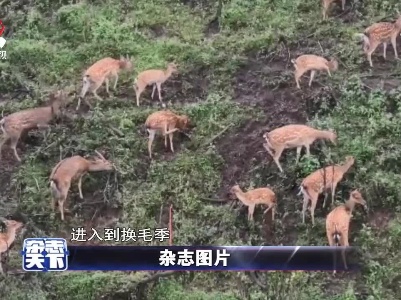 杂志天下20210903