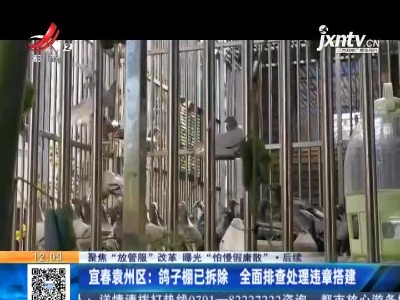 【聚焦“放管服”改革 曝光“怕慢假庸散”·后续】宜春袁州区：鸽子棚已拆除 全面排查处理违章搭建