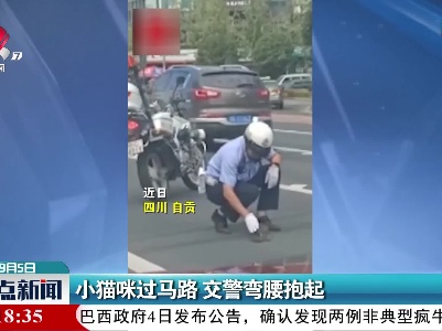 小猫咪过马路 交警弯腰抱起