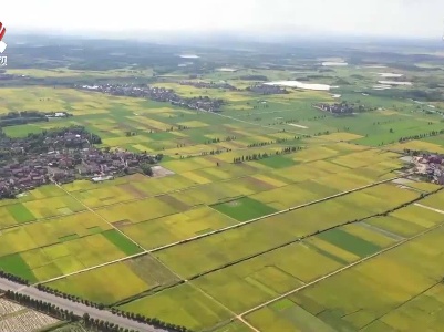 各地秋粮生产形势良好 全年粮食丰收在望