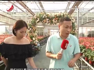 【2021中国农民丰收节江西活动】电商馆探班 农产品也能很“时尚”