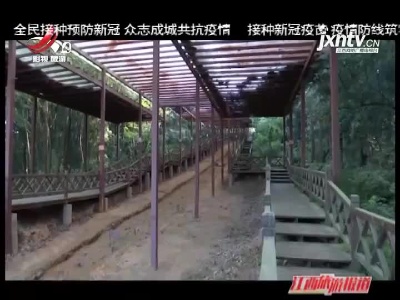 景德镇乐平：唐代南窑遗址 千年遗存见证辉煌