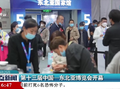第十三届中国-东北亚博览会开幕