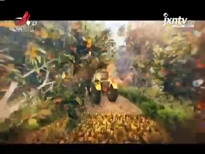 稻花香里20210901 小康路上追梦人——葡萄园里不一样的滋味