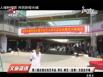 第二届全国古玩艺术品 奇石根艺（宜春）交流会开幕