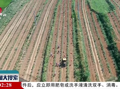 新闻大搜索20210923