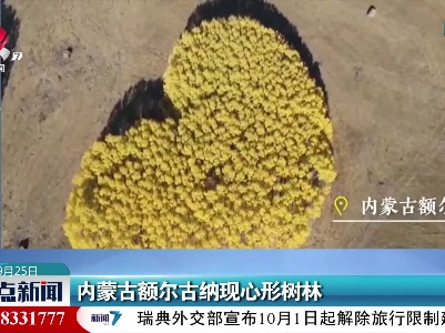 内蒙古额尔古纳现心形树林