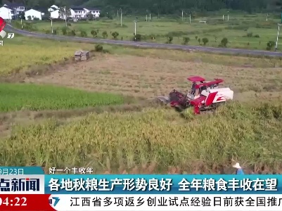 【好一个丰收年】各地秋粮生产形势良好 全年粮食丰收在望