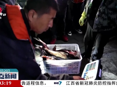 【好一个丰收年】开渔啦！ 产地：北京密云水库
