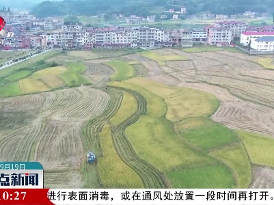 武宁：挑灯夜战 抢收一季水稻