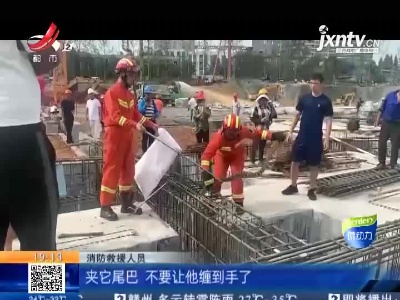 南昌高新：工地惊现2米长大蛇 消防上演“捕蛇大战”