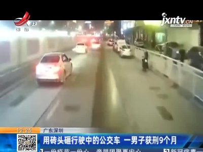 广东深圳：用砖头砸行驶中的公交车 一男子获刑9个月
