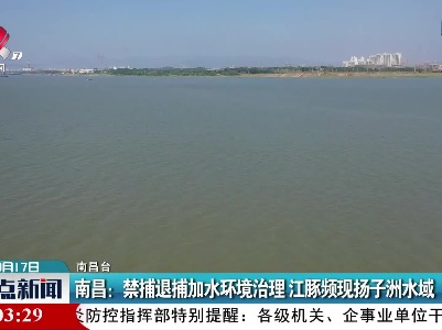 南昌：禁捕退捕加水环境治理 江豚频现扬子洲水域