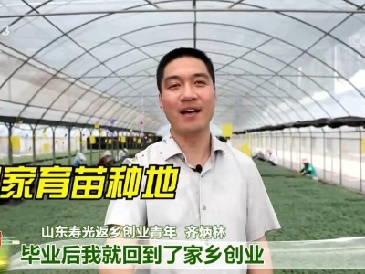 走进乡村看小康 | “80后”小伙返乡创业vlog：种子改变家乡