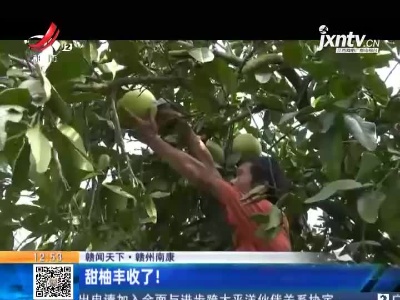 【赣闻天下】赣州南康：甜柚丰收了！