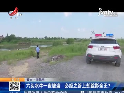 【警方】南昌县：六头水牛一夜被盗 必经之路上却踪影全无？