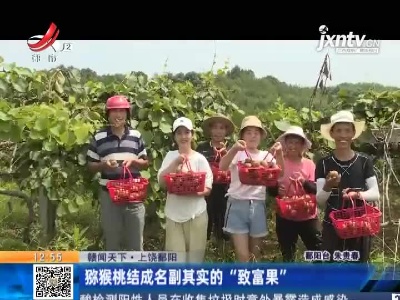 【赣闻天下】上饶鄱阳：猕猴桃结成名副其实的“致富果”