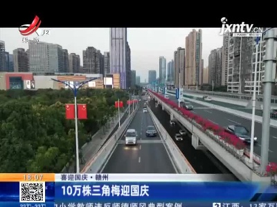 【喜迎国庆】赣州：10万株三角梅迎国庆