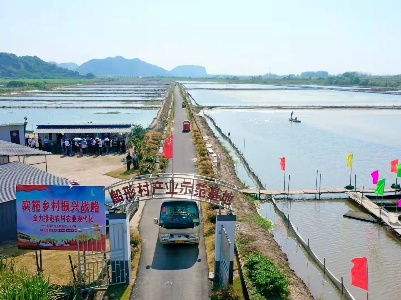 稻蟹共作  一江清水引来彭泽致富活水