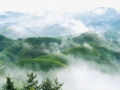 江西又添2个国家级示范区、30个示范村镇，有你家乡吗？