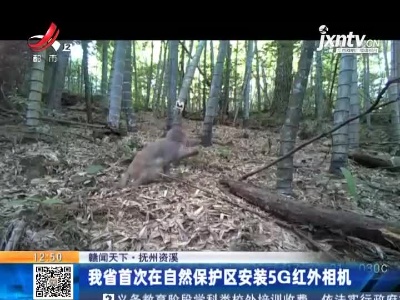 【赣闻天下】抚州资溪：我省首次在自然保护区安装5G红外相机