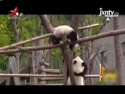 新闻晚高峰20210928