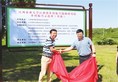 建设高端智库 服务乡村振兴