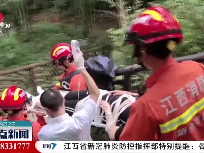 新余：游客瀑布登山坠落 消防盘山接力救援