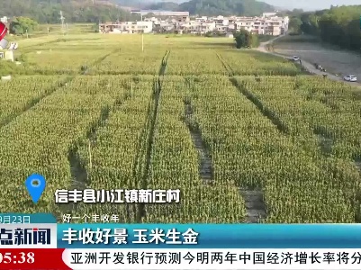 【好一个丰收年】丰收好景 玉米生金