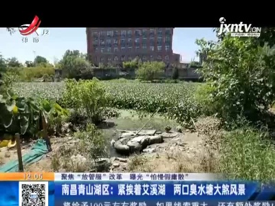 【聚焦“放管服”改革 曝光“怕慢假庸散”】南昌青山湖区：紧挨着艾溪湖 两口臭水塘大煞风景