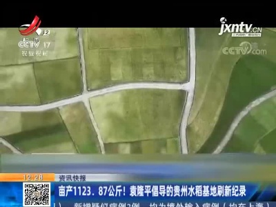 亩产1123.87公斤！袁隆平倡导的贵州水稻基地刷新纪录