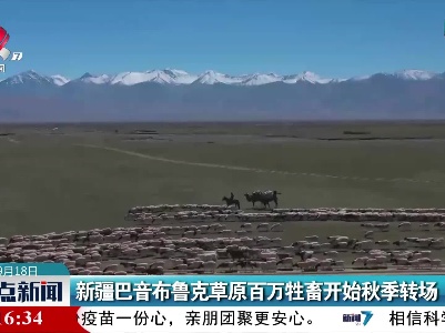 新疆巴音布鲁克草原百万牲畜开始秋季转场