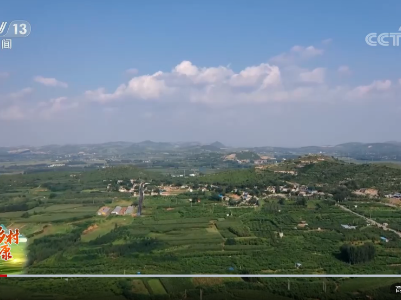 走进乡村看小康 | 山东肥城刘台村：桃子做成大产业 村民致富奔小康