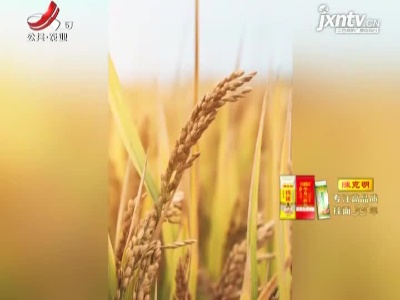 【身为“干饭人”的你，认识几种呢？】“农业八级”考试来啦！