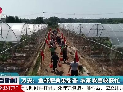 万安：鱼虾肥美果甜香 农家欢喜收获忙
