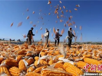 今日丰收节：致敬亿万中国农民，节日快乐！