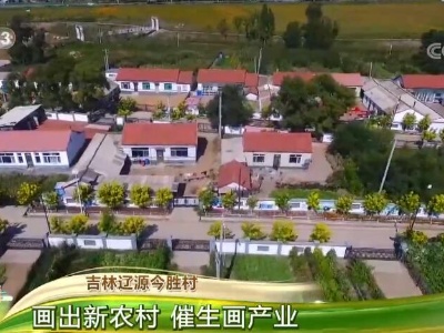 走进乡村看小康 | 吉林辽源今胜村：画出新农村 催生画产业