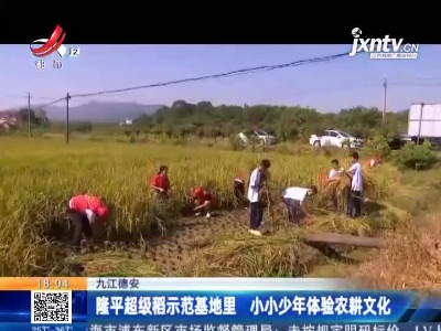 九江德安：隆平超级稻示范基地里 小小少年体验农耕文化