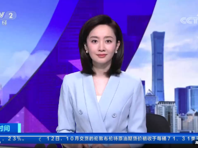 【乡村振兴看一线】宁夏盐池：培育专业合作社、打造产业链条 黄花菜铺出金色致富路 